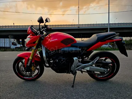 Honda  CB 600F (Hornet) 2007 года за 3 000 000 тг. в Алматы – фото 7