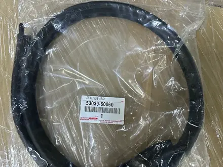 Уплотнительная резинка решетки радиатора LC300 за 1 000 тг. в Алматы