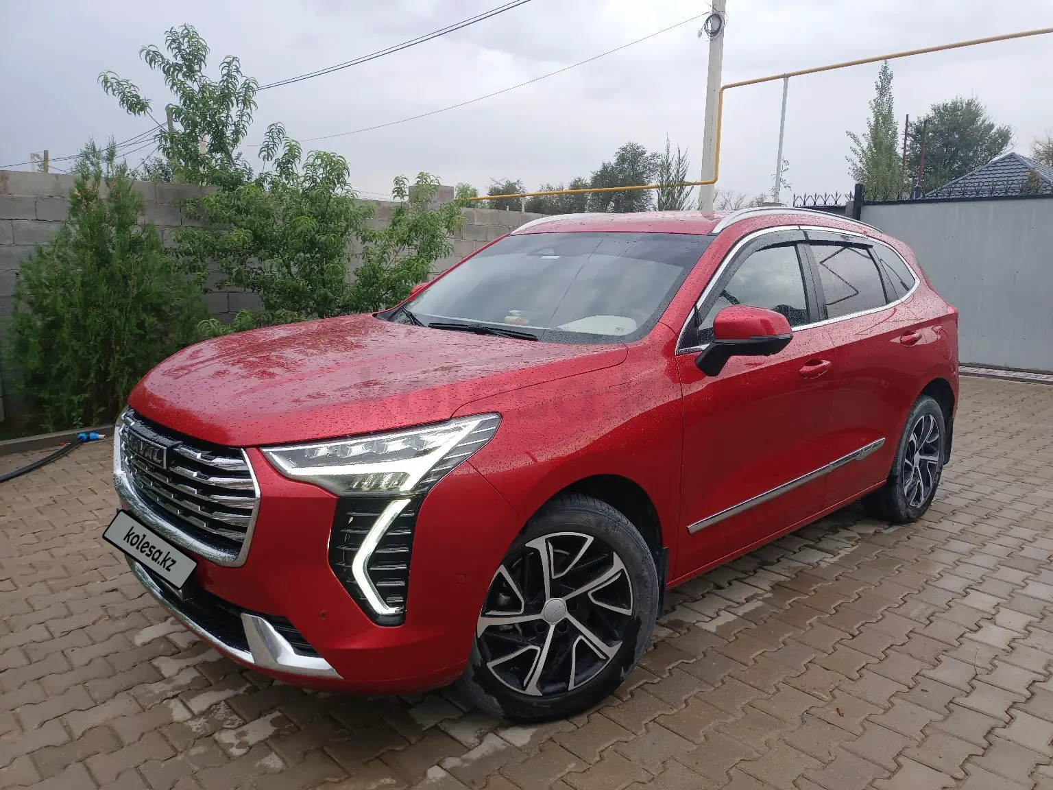 Haval Jolion, 2021