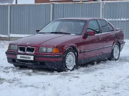 BMW 316 1995 года за 2 750 000 тг. в Петропавловск – фото 34