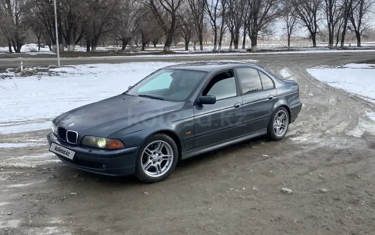 BMW 540 1996 годаfor3 400 000 тг. в Талдыкорган