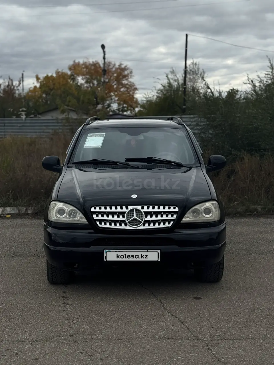 Mercedes-Benz M-Class, 2001