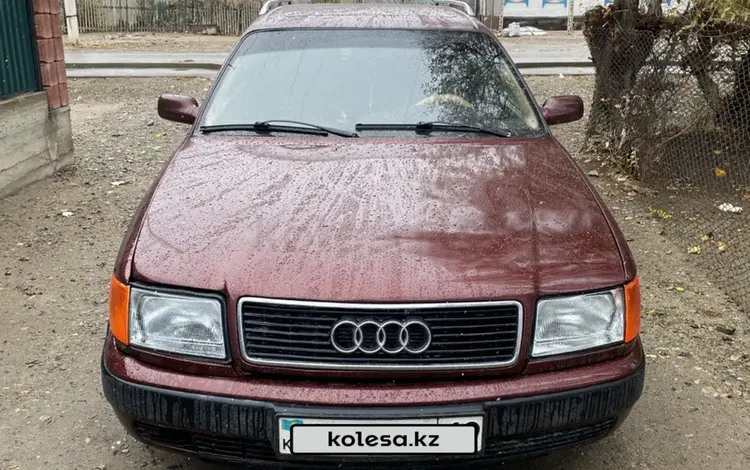 Audi 100 1992 годаүшін1 800 000 тг. в Жаркент