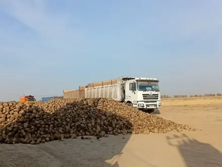 Shacman (Shaanxi)  F3000 2014 года за 14 000 000 тг. в Шымкент – фото 15