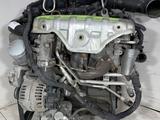 Двигатель Skoda Octavia 1.4/1.6/1.8/2л из Японии + установка. CAXA/CDAA/BSE за 188 700 тг. в Алматы – фото 3