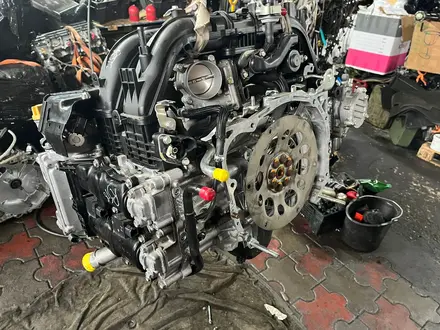 Двигатель Subaru forester FA20 turbo 2.0 за 2 300 000 тг. в Астана – фото 5