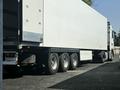 Renault  T-Series 2018 годаүшін40 000 000 тг. в Шымкент – фото 11
