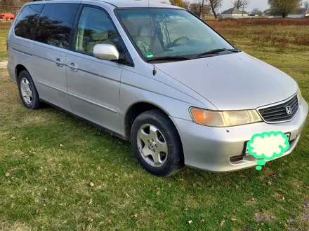 Honda Odyssey 2001 года за 4 500 000 тг. в Тараз