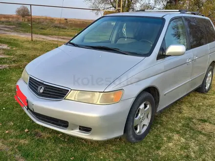 Honda Odyssey 2001 года за 4 500 000 тг. в Тараз – фото 5