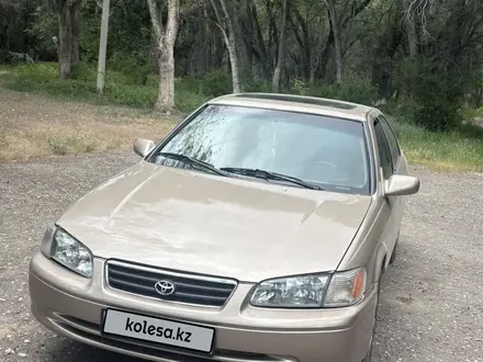 Toyota Camry 2001 года за 3 600 000 тг. в Жаркент