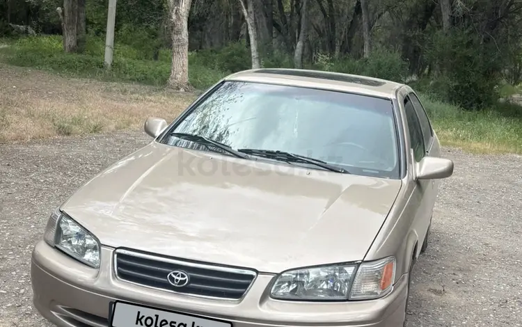 Toyota Camry 2001 года за 3 600 000 тг. в Жаркент