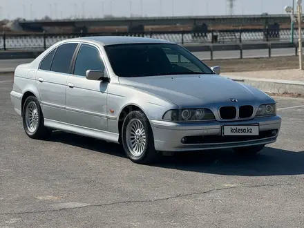 BMW 525 2002 года за 5 300 000 тг. в Кызылорда – фото 3