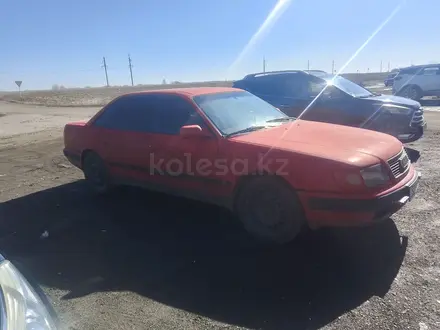Audi 100 1992 года за 1 200 000 тг. в Павлодар