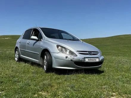 Peugeot 307 2004 года за 1 300 000 тг. в Алматы – фото 9