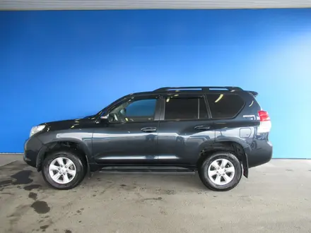 Toyota Land Cruiser Prado 2012 года за 12 004 125 тг. в Шымкент – фото 6
