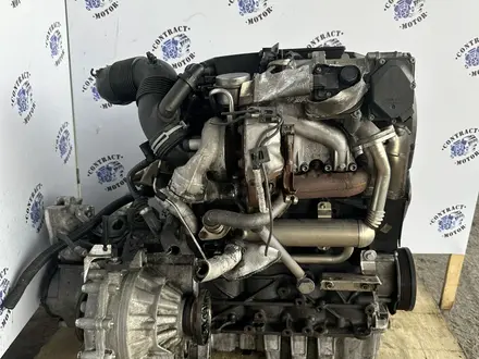 BLS двигатель 1.9d Volkswagen Passat, Golf, Jetta, Touran, Audi A3, Skoda O за 299 000 тг. в Алматы – фото 3