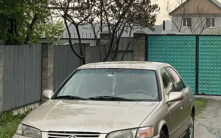 Toyota Camry 1998 года за 3 200 000 тг. в Алматы