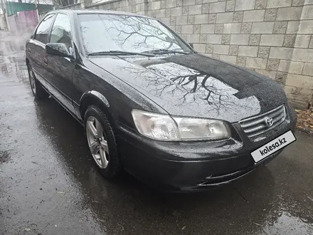 Toyota Camry 2000 года за 3 280 000 тг. в Алматы