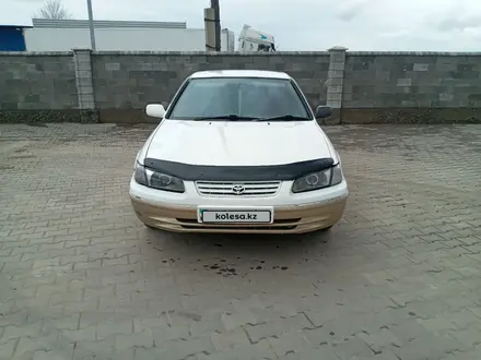 Toyota Camry Gracia 1997 года за 3 300 000 тг. в Семей – фото 6