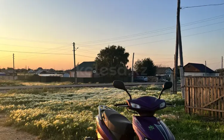 Li Ya 2024 года за 245 000 тг. в Кокшетау
