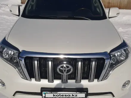 Toyota Land Cruiser Prado 2013 годаүшін16 500 000 тг. в Костанай – фото 18