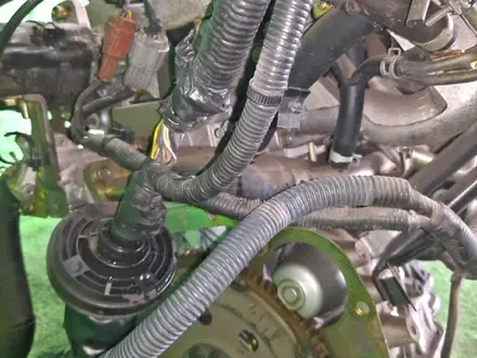 Двигатель NISSAN LIBERTY PM12 SR20DE 1999 за 197 000 тг. в Костанай – фото 5