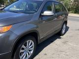 Kia Sorento 2011 годаүшін7 850 000 тг. в Талгар – фото 3