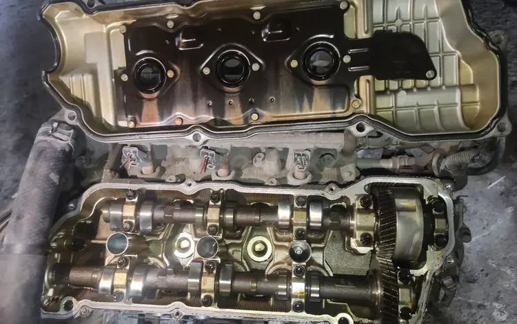 Двигатель и АКПП на Lexus RX 300 3 L (2AZ/1MZ/3MZ/2AR/2tr/2GR/3ur/1ur) за 95 685 тг. в Алматы