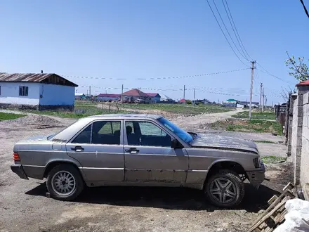 Mercedes-Benz E 230 1990 года за 124 190 000 тг. в Алматы – фото 18