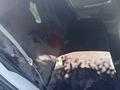 Toyota Corolla 2011 года за 5 500 000 тг. в Семей – фото 8