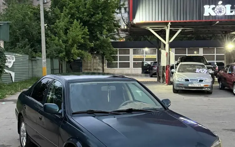 Toyota Camry 1998 года за 2 500 000 тг. в Алматы