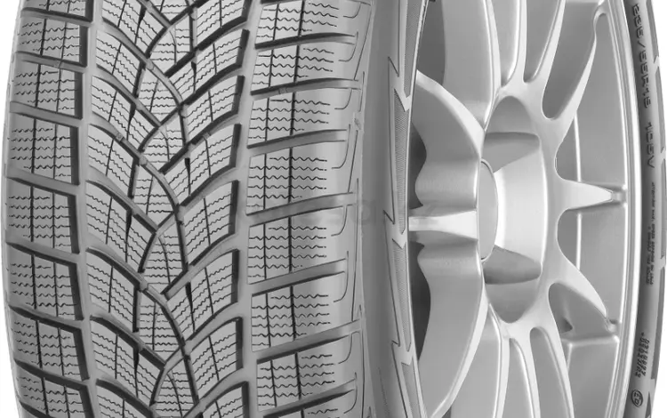 Goodyear Ultra Grip Perfomance G1 245/35 R20 и 305/30 R21үшін1 490 000 тг. в Алматы