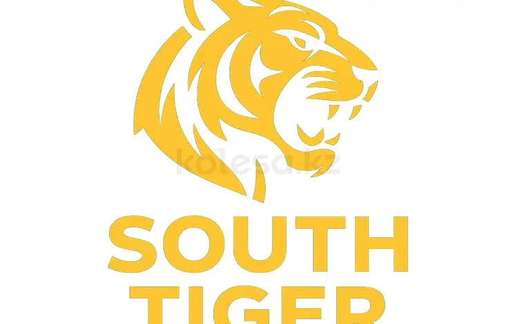 SOUTH TIGER в Алматы