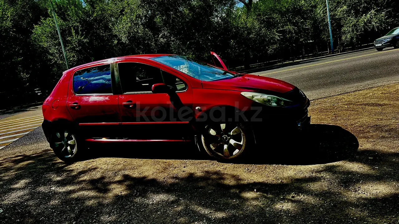 Peugeot 307, 2006
