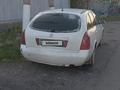 Nissan Primera 2003 года за 3 000 000 тг. в Тараз – фото 4