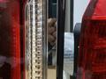 Комплект задних фонарей Лексус Lexus LX570 дубликатүшін115 000 тг. в Усть-Каменогорск – фото 12