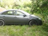 Nissan Primera 2003 годаүшін3 000 000 тг. в Усть-Каменогорск – фото 2