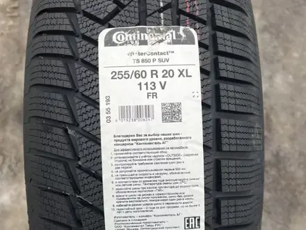 Зимние Continental WinterContact TS 850 P SUV 255/60 R20 XL 113V за 450 000 тг. в Петропавловск – фото 3