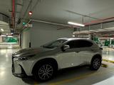 Lexus NX 250 2022 годаүшін22 500 000 тг. в Астана – фото 5