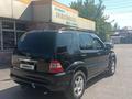 Mercedes-Benz ML 320 2001 годаfor4 700 000 тг. в Алматы – фото 10