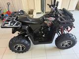 BRP  Can-Am DS 250 2023 года за 700 000 тг. в Кокшетау – фото 3