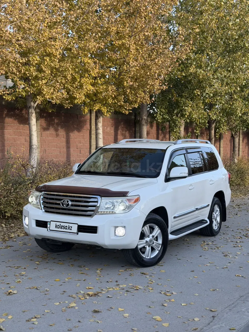 Toyota Land Cruiser, 2013