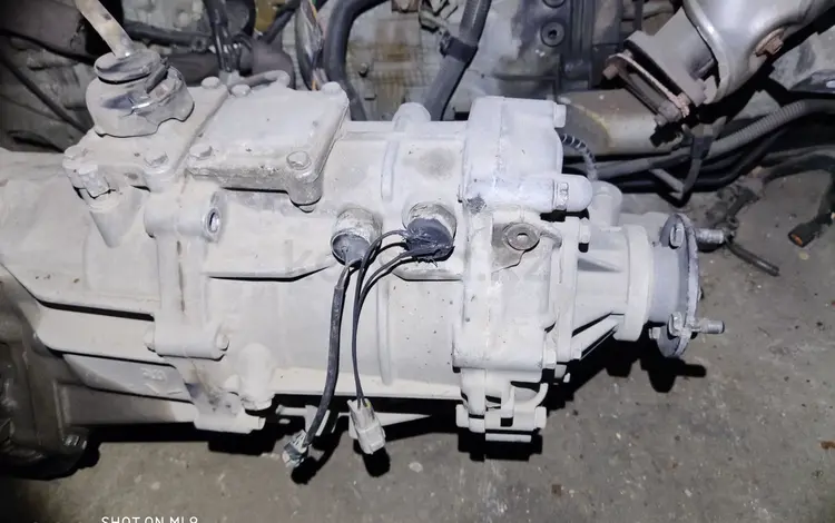 Раздатка за 50 000 тг. в Алматы