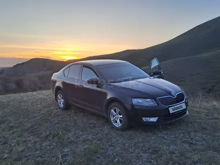 Skoda Octavia 2014 года за 6 100 000 тг. в Кокшетау