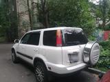 Honda CR-V 1999 года за 4 300 000 тг. в Петропавловск – фото 2