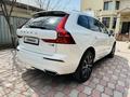 Volvo XC60 2019 года за 17 800 000 тг. в Алматы – фото 4