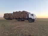 КамАЗ  43118 2013 года за 14 000 000 тг. в Уральск – фото 3