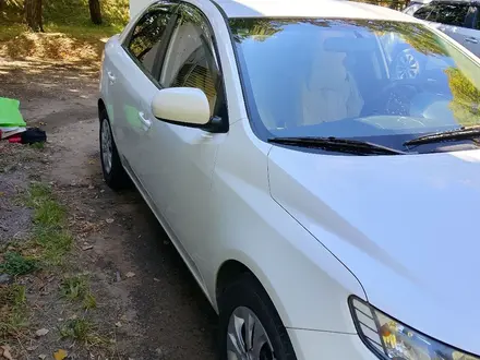 Kia Cerato 2011 года за 4 000 000 тг. в Алматы – фото 23