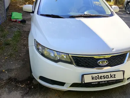 Kia Cerato 2011 года за 4 000 000 тг. в Алматы – фото 24