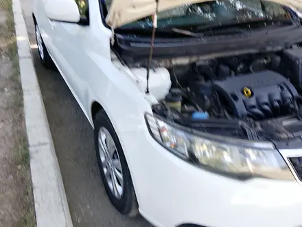 Kia Cerato 2011 года за 4 000 000 тг. в Алматы – фото 4